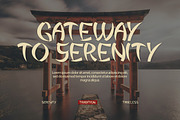 Aokishi Japanese Elegance Font, a Symbol Font by Vadovastd (Thumbnail 5 of 8)