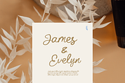 The Blooming Script, a Script Font by Muwatta Studio (Thumbnail 5 of 11)
