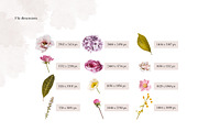 Isolated real flowers clipart set, an Object Graphic by The Graphic Parade (Thumbnail 7 of 14)
