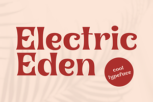 Electric Eden - Nostalgic Font