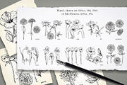 Set of Flowers, an Illustration by Victoria_Novak (Thumbnail 1 of 5)