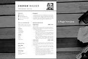 Resume/CV with Photo template, a Resume Template by The Career Lab (Thumbnail 3 of 10)
