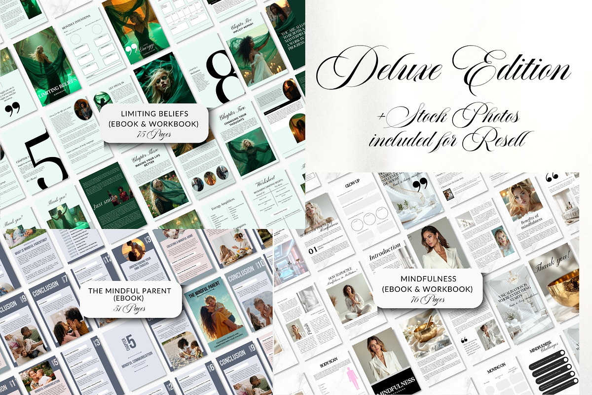 Coaching Bundle EBooks MRR PLR, a Brochure Template by CopertiniStudio (Photo 10 of 10)