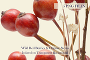Airy Meadow — Wild Red Berries & Org, an Object Graphic by Aga Silva (Thumbnail 4 of 5)