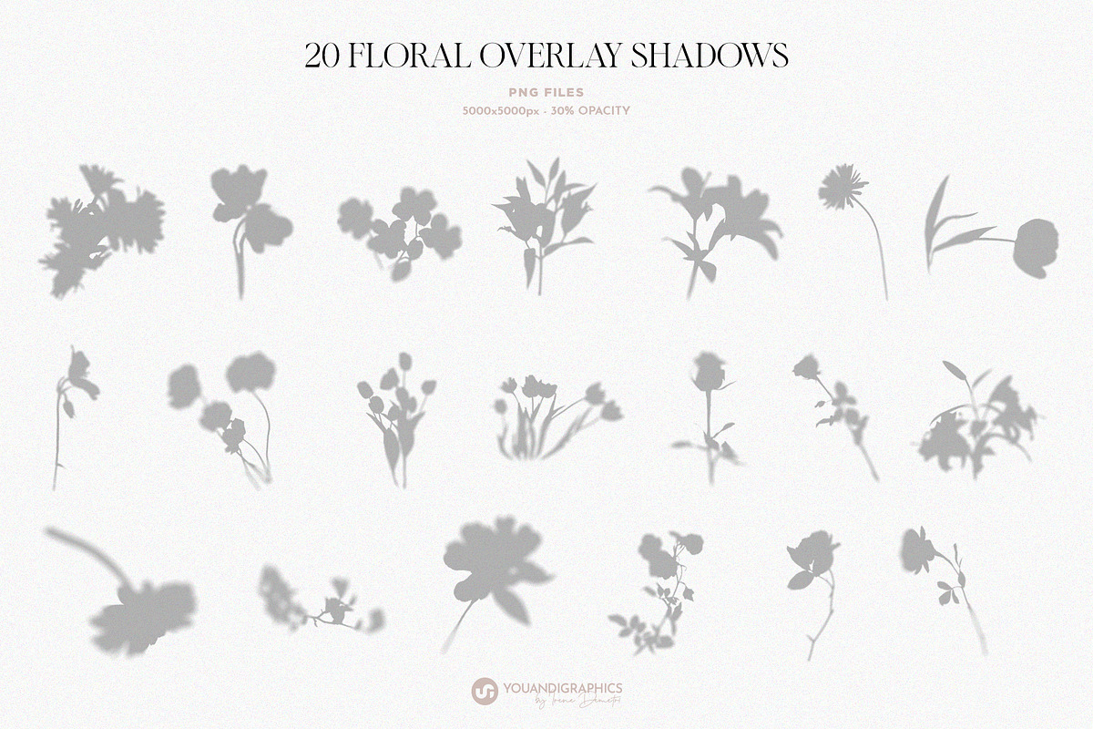Floral Shadows Overlays, a Graphic by Youandigraphics (Photo 12 of 14)