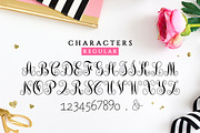 Interlocking Monogram Font, a Script Font by pixelcolours (Thumbnail 7 of 7)