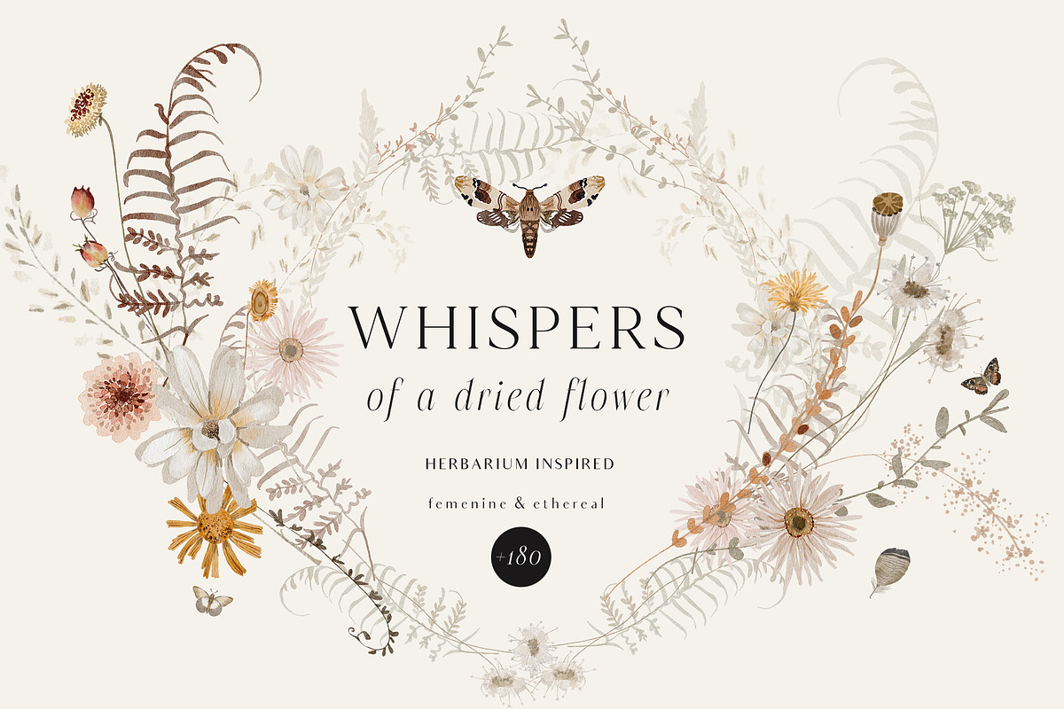 Wildflowers watercolor floral botany, a Decorative Illustration by Grace Noboa Illustrations (Photo 2 of 17)