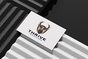 Modern Aggressive Stag in Shield Bad, a Branding & Logo Template by Suhandi (Thumbnail 5 of 6)