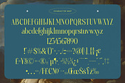 Heroic Brutal Bold Tall Serif, a Serif Font by timelesstype.co (Thumbnail 18 of 20)