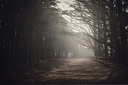 Cinematic Film - Lightroom Presets, a Plug-in Add-On by Jayson Photos (Thumbnail 8 of 8)