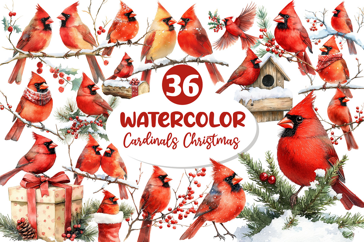 Red Cardinals Christmas Sublimation, an Illustration by Dream Creation (Photo 1 of 7)