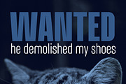 Alterhard Condensed Strict Font, a Sans Serif Font by popskraft (Thumbnail 9 of 10)