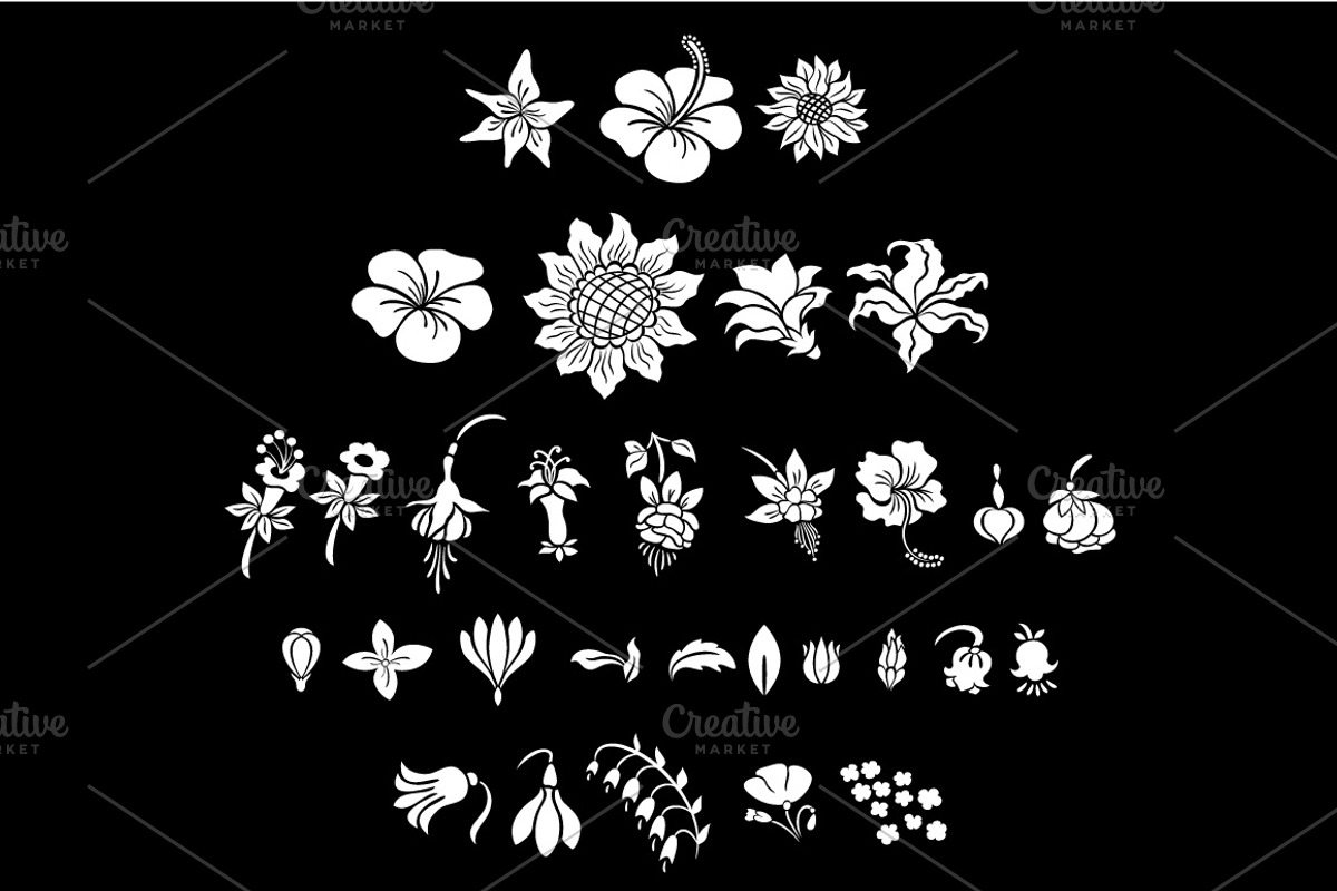Flowers Silhouettes Set, an Illustration by Lianella's Shop (Photo 4 of 5)