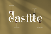 Renaisans Sans Modern Serif, a Serif Font by Creatype Studio (Thumbnail 8 of 10)