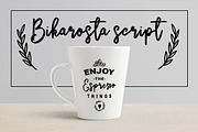 Bikarosta Font Duo with Extras, a Script Font by Maulana Creative (Thumbnail 3 of 17)