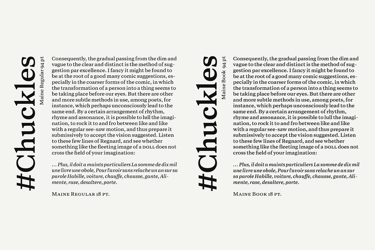 Maine -Book Antiqua Family, a Serif Font by Fenotype (Photo 6 of 11)