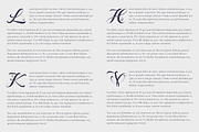 Script Drop Cap + Free Bonus, an Illustration by Nuno Dias (Thumbnail 2 of 4)