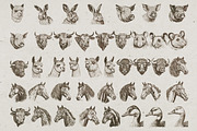 Farm Animals Illustrations, an Animal Illustration by Nocturnal Wolf (Thumbnail 4 of 14)
