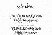 Typographer's Dream Box + 200 Logos, a Script Font by Mats-Peter Forss (Thumbnail 102 of 130)