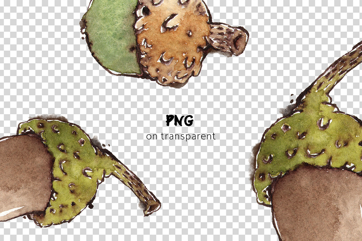 Acorns & Leaves Watercolor Patterns, a Pattern Graphic by Mazheika Store (Photo 3 of 9)