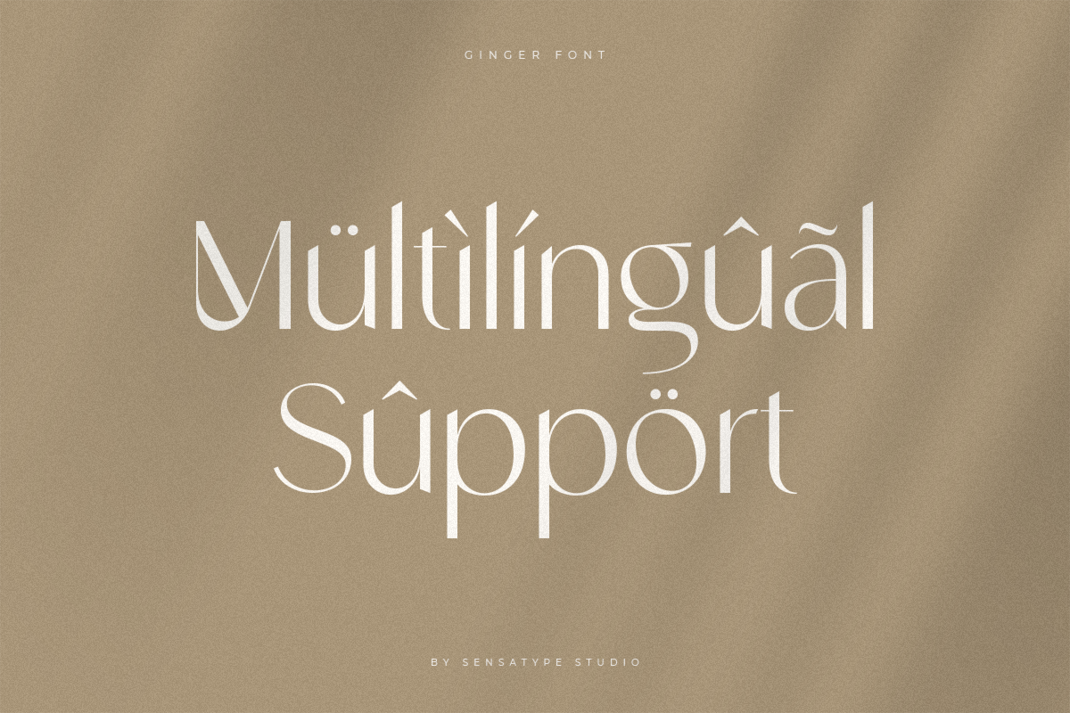 Ginger - Modern Stylish Font, a Sans Serif Font by Sensatype (Photo 20 of 20)