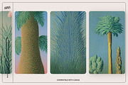 Botanical Surrealism, a Texture Graphic by Nomad Visuals (Thumbnail 16 of 19)