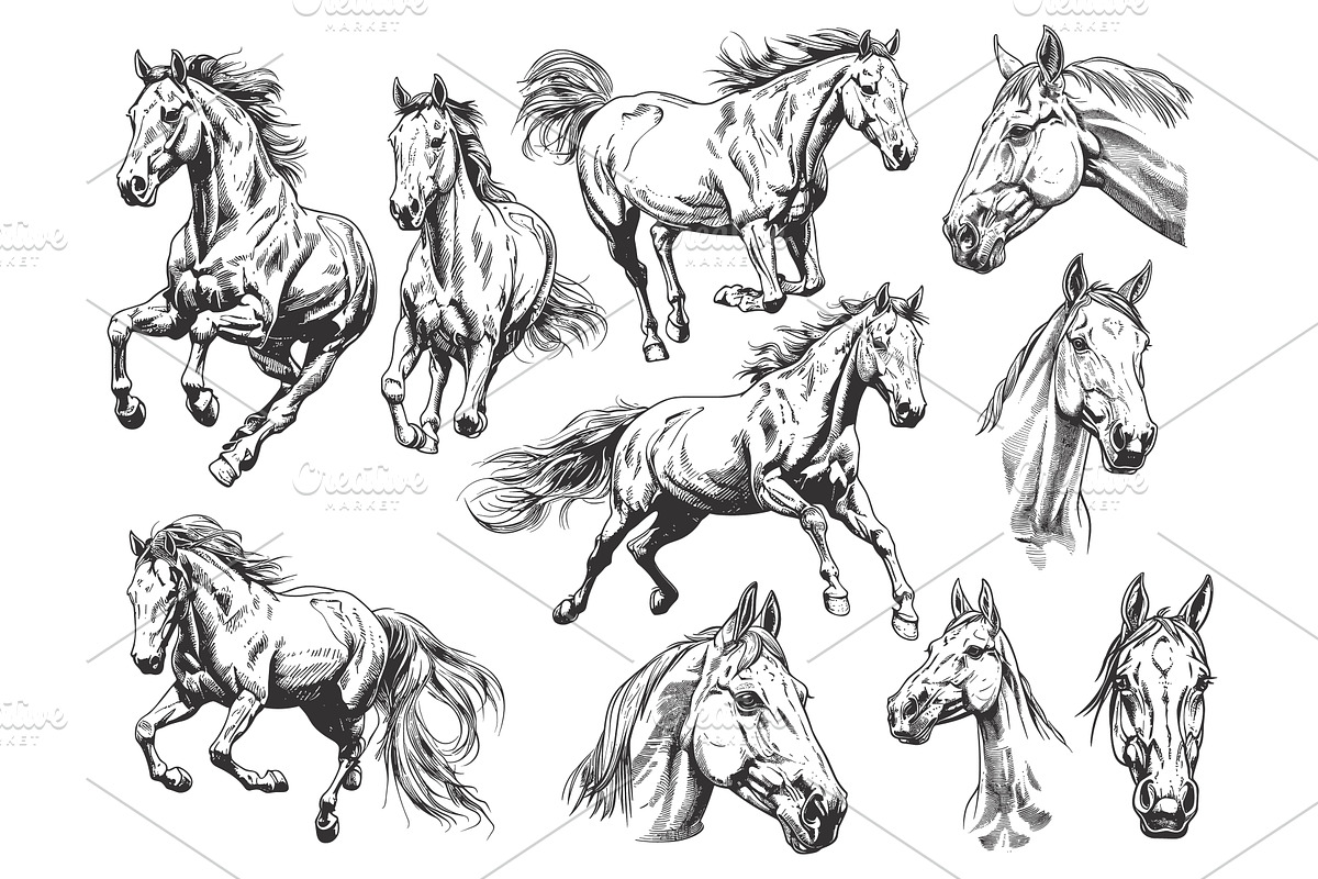 Sketch horses set. Wild horse, an Animal Illustration by Stock-Smart-Start