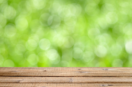 Defocused background containing background, nature, and bokeh preview 6