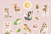 Woodland Atelier Clipart Bundle, an Animal Illustration by PaintPixelCo (Thumbnail 13 of 15)