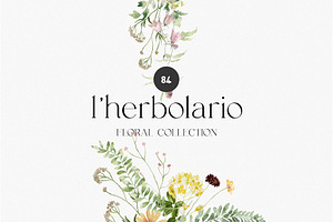 l'Herbolario - Wild Floral Graphics