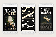 Disriete Modern Serif Display, a Serif Font by AmorfaType (Thumbnail 6 of 11)