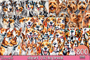 watercolor dog breeds bundle, an Animal Illustration by TanuschArts (Thumbnail 3 of 7)