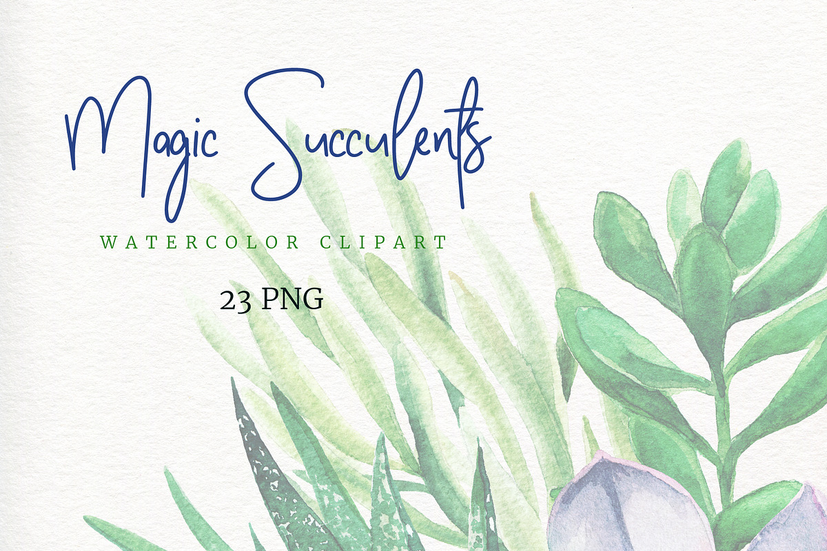 Botanical Watercolor Clipart, an Object Graphic by JSolomatina (Photo 3 of 3)