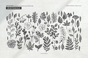 Mystery forest animals, leaves, an Animal Illustration by ARTMIRU (Thumbnail 3 of 11)