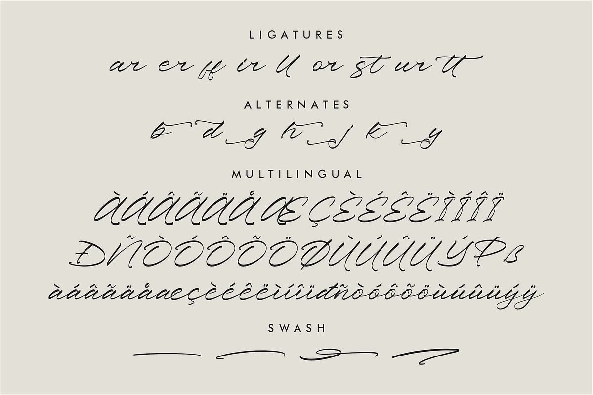 Pharellia Redusha A Modern Script, a Script Font by Storytype Studio (Photo 14 of 15)