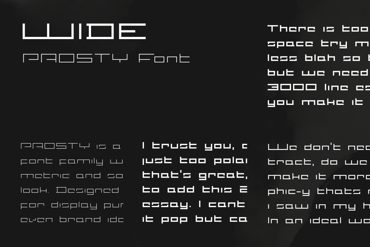 PROSTY Typeface Family preview 5