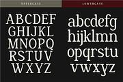 Nakota - Modern Clean Serif Font, a Serif Font by Pekotype (Thumbnail 3 of 15)