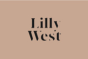 Modernist Milk -Fashion Stencil Font, a Serif Font by Tropical Type (Thumbnail 4 of 7)