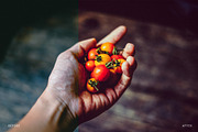 Vintage Looks Lightroom Presets, an Action Add-On by RockShutter (Thumbnail 2 of 6)