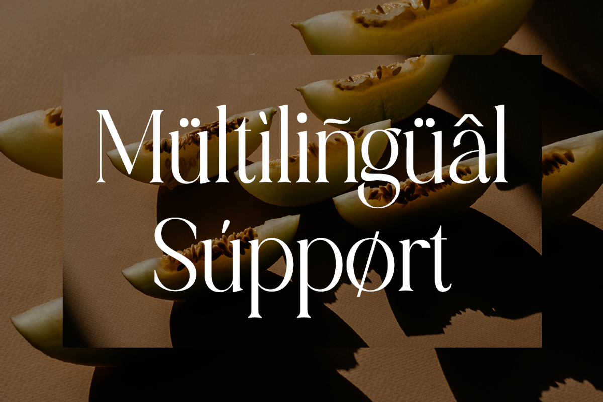 Charlotten - Elegant & Stylish Serif, a Serif Font by RockboyStd (Photo 8 of 12)