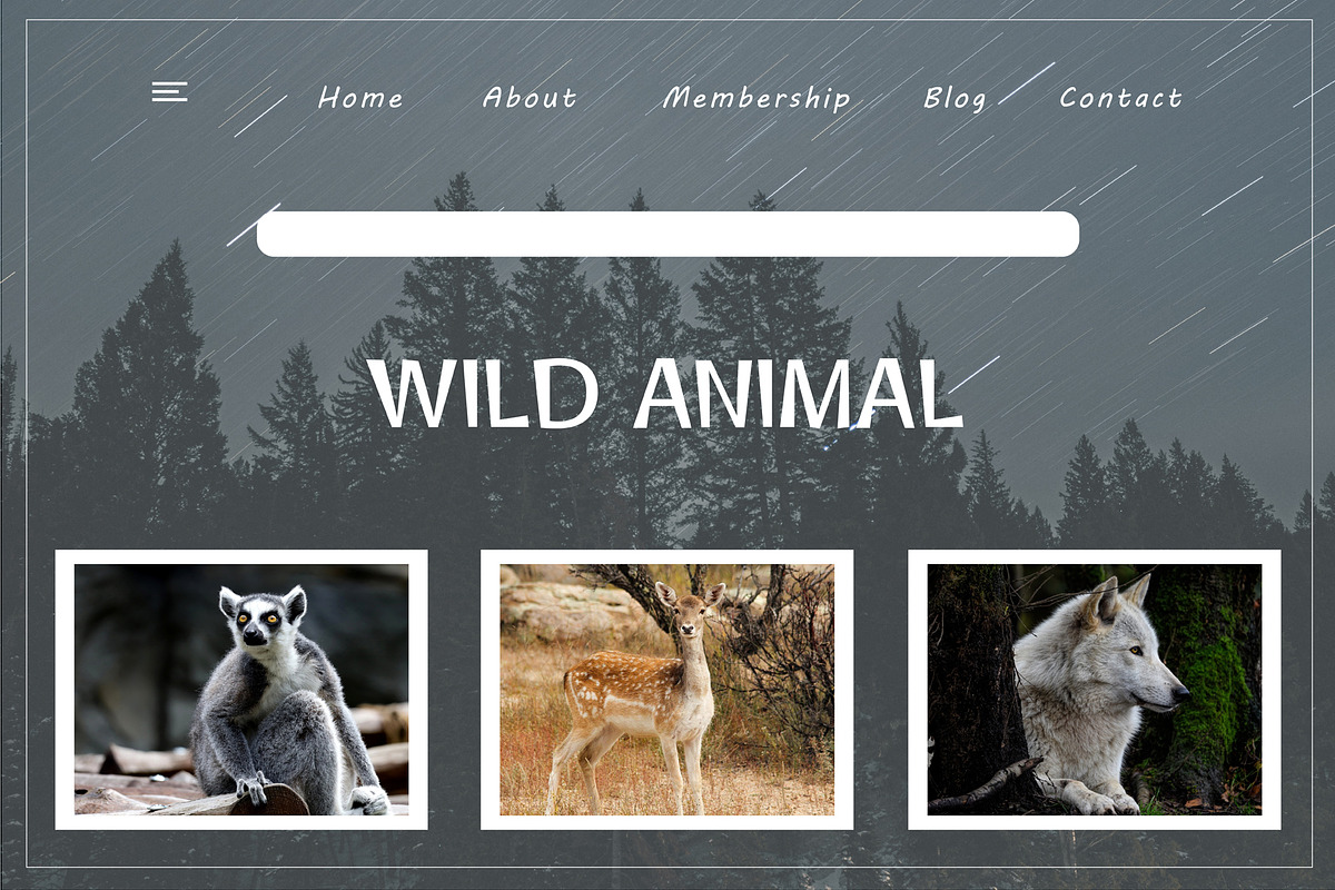 Wild Cat, a Sans Serif Font by edcreative (Photo 3 of 4)