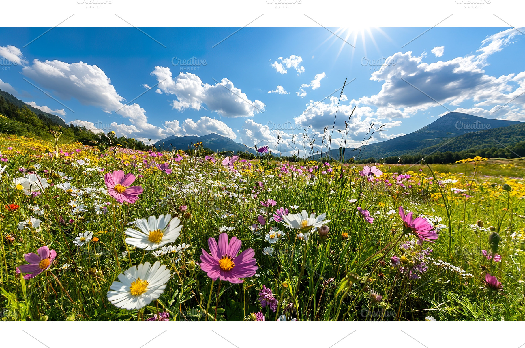 Expansive wildflower meadows under, a Nature Photo by Lermont51