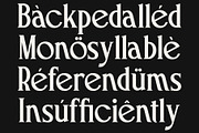 Macchiola | Vintage Display Serif, a Serif Font by Typoraith Co (Thumbnail 10 of 15)