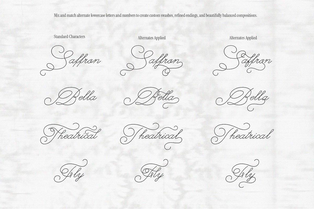 The Poetry Elegant Swash Script Font, a Script Font by AnMark (Photo 8 of 13)