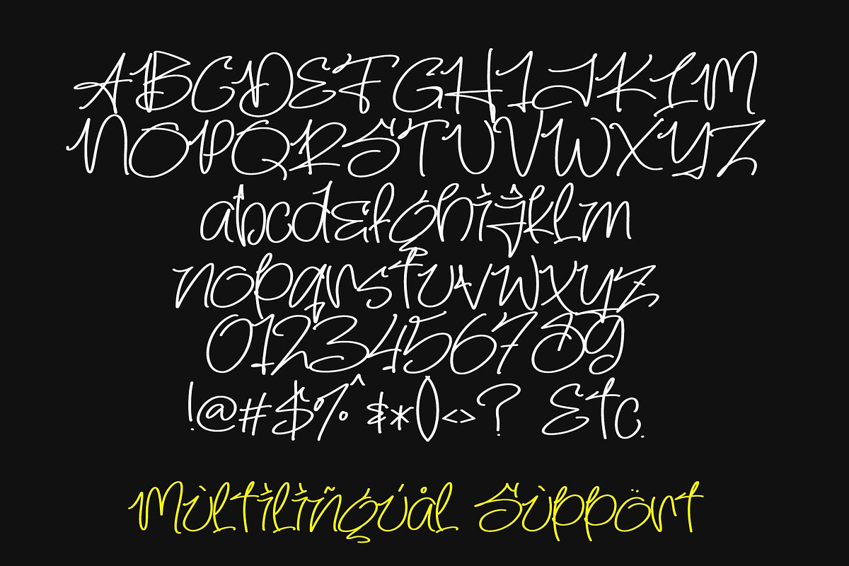 Midnight Script, a Handwritten Font by Letterafa Studio (Photo 6 of 6)