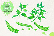 Watercolor Vegetables, Herbs, Green, an Animal Illustration by Graphobia (Thumbnail 6 of 11)