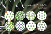 House plant watercolor collection, an Illustration by Color Hugs Art (Thumbnail 9 of 10)
