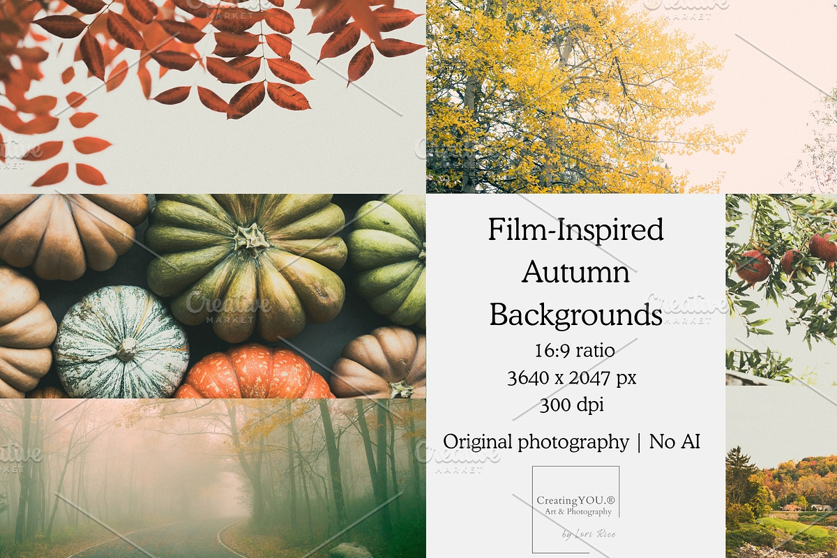 Film Inspired Autumn Backgrounds, a Background Photo by CreatingYOU.®, Lori Rice (Photo 1 of 5)