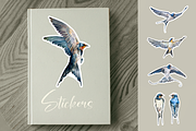 Swallows Watercolour Set, a Decorative Illustration by Tati Bordiu (Thumbnail 4 of 6)