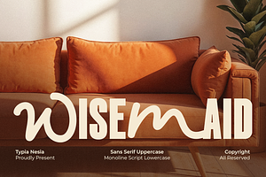 Wisemaid - Experimental Mixup Font